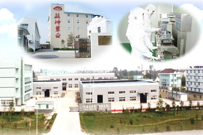 8亿蓝图下的小菌种，大产业——探秘5000万注册资金深耕食药用菌全链条