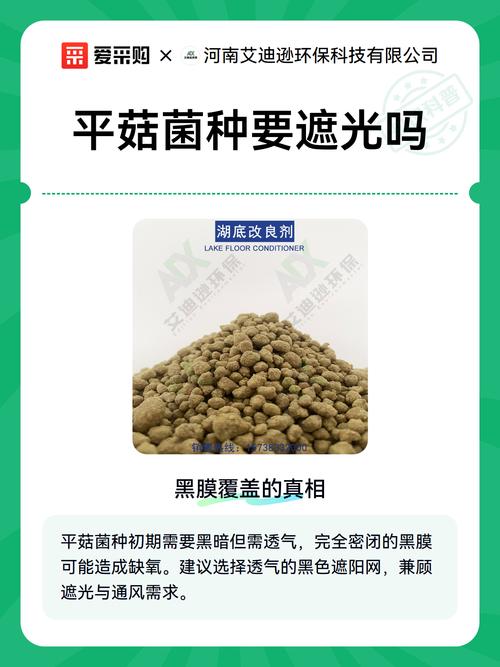 b2bmarkdown:## 一,黑膜覆盖的真相\n\n平菇菌种培育时,是否需要黑膜