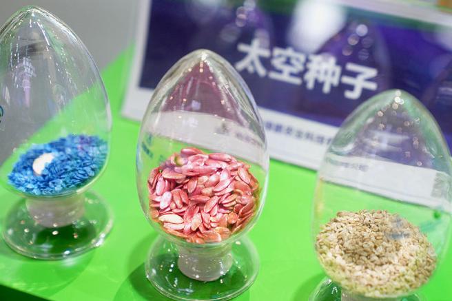 已完成40多次航天育种搭载实验,先后利用各类航天器搭载植物种子,菌种