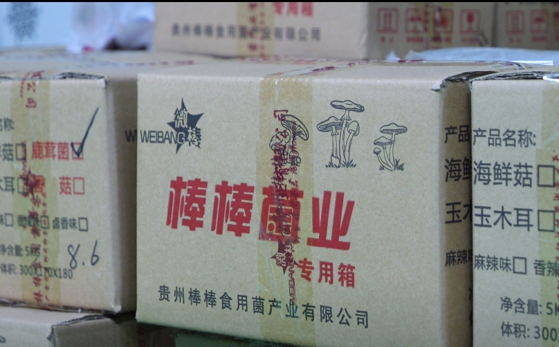 新春走基层 | 稻耳轮作保粮增收 印江县积极打造食用菌全产业链
